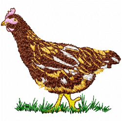 Chickens And Roosters Embroidery Design 3 Chickens And Roosters Embroidery Design 3